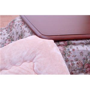 GKX |zcPi wG[[x x[W 205~205cminF{Aj摜R