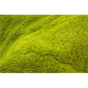 уTS}C[ |zcPi wRbg|x O[ 190~190cm摜Q