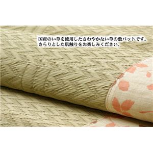 Y ̕~pbg w\i^ Px [Y VO 88~200cm摜Q