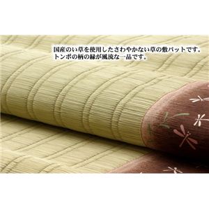 Y ̕~pbg wio Px uE VO 88~200cm摜Q