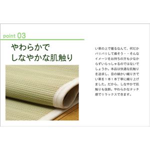 tƂ̋J Q wAXN xr[Px 70~120cm摜S