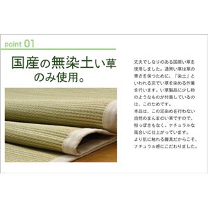 tƂ̋J Q wAXN Px VO 100~200cm摜R