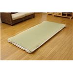 医師との共同開発 い草寝具 『アスク 汗取P』 セミダブル 約120×200cm