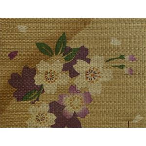 Y Ԃ zc w퐶 2gx uE 60~60cm~2P摜Q