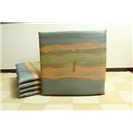純国産/日本製 捺染返し い草座布団 『うすれび 5枚組』 ブルー 約60×60cm×5P