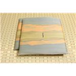 純国産/日本製 捺染返し い草座布団 『うすれび 2枚組』 ブルー 約60×60cm×2P