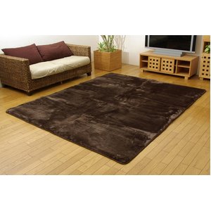 洗える ウォッシャブルラグカーペット 『WSウェンデル』 ブラウン 200×300cm