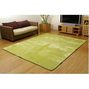 洗える ウォッシャブルラグカーペット 『WSウェンデル』 グリーン 200×300cm