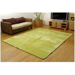 洗える ウォッシャブルラグカーペット 『WSウェンデル』 グリーン 200×300cm