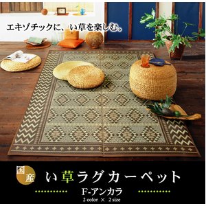 純国産/日本製 袋三重織 い草ラグカーペット 夏用 『Fアンカラ』 ブラウン 約191×191cm（裏：ウレタン）