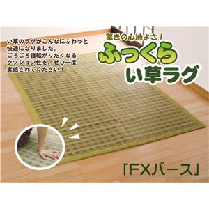 ウレタン8mm入り い草ラグカーペット 夏用 『FXバース』 グリーン 約180×180cm