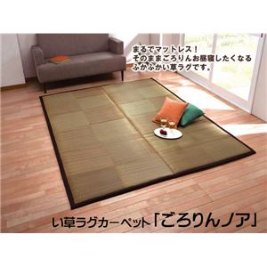 固わた20mm入り い草ラグカーペット 夏用 『ごろりんノア』 約191×250cm