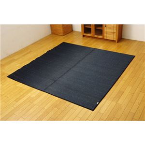 純国産 無地カラーい草ラグカーペット 夏用 『Fプラード』 ブラック 190×250cm