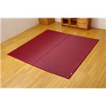 純国産 無地カラーい草ラグカーペット 夏用 『Fプラード』 レッド 190×250cm