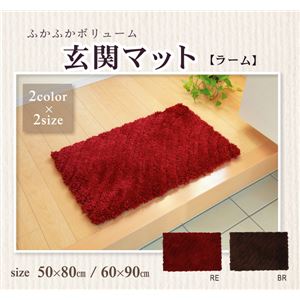 玄関マット 室内/屋内用 無地 マイクロファイバー シャギー 『ラーム』 ブラウン 約60×90cm 滑りにくい加工