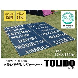 アトピー協会推奨品 タイポグラフィ 洗えるポリプロピレンラグ 『トリド』 約174×174cm