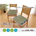 クッション ごろ寝クッション ごろ寝枕 い草クッション い草枕 シート ぽこぽこ 『マリータ ポコポコシート』 ブラウン 約40×40cm