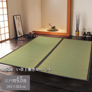 純国産 立花織 い草上敷 『桂浜』 江戸間4.5畳（261×261cm）