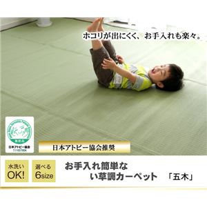 洗える PPカーペット 『五木』 江戸間4.5畳（261×261cm）