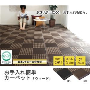 洗える PPカーペット 『ウィード』 ブラウン 江戸間2畳（174×174cm）