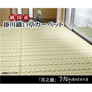 純国産 掛川織 い草カーペット 『宮之浦』 グリーン 江戸間8畳（348×352cm）