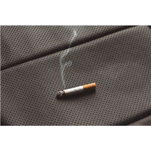 STANCEiX^Xj V[gJo[yX^_[hz To[fBAX TW1 ^ 2 ubN摜S