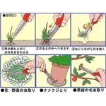 虫・草とりーな