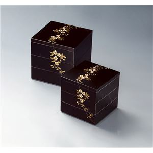 KT2039 円山5.0三段重（溜） 【Kaze-ya style・北市漆器店 】