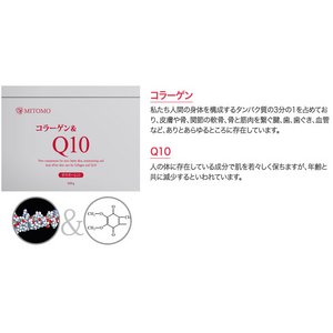 yEzyMITOMO/FtFCX}XNE}XNV[gE}XNpbN/Ɩpz6ނIׂ36yMT1-B-1-5zR[Q + Q10 365pbN 180摜Q