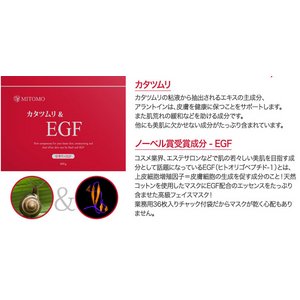 yEzyMITOMO/FtFCX}XNE}XNV[gE}XNpbN/Ɩpz6ނIׂ36yMT1-B-0-20zJ^c + EGF 3620pbN 720摜Q