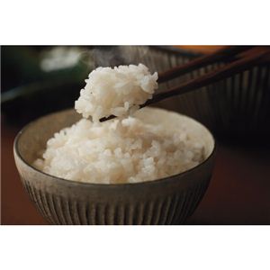 ᑠXnÎYЂ ᑠXnÎYЂ4KG 13-0475-085摜Q