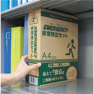 펝oZbgi16_Zbgj BS-50펝oZbg 13-0650-021摜Q