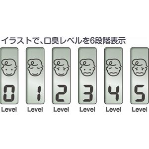 ^j^ uX`FbJ[~ju HC212MBLuX`FbJ[~j u[ 13-0360-090摜Q