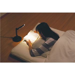 LEDӂƂ񃉃Cg uE LE-H224BRLEDӂƂ񃉃Cg uE 13-0770-028摜R