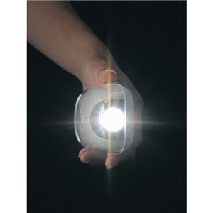 dZT[LEDT[`Cg LS-8554WdZT[LEDCg 13-0775-070摜Q