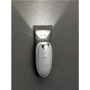 dZT[LEDT[`Cg LS-8554WdZT[LEDCg 13-0775-070摜R