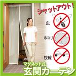 虫よけカーテン 目隠しと虫除けマグネット式カーテン 玄関カーテン 網戸カーテン 蚊や虫をシャットウト 涼しい風を通してエコ 節電