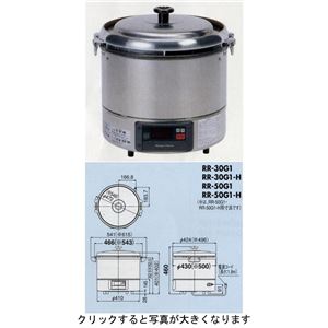 リンナイ 3升炊き卓上型炊飯器 （マイコン制御タイプ） RR-30G1-H ホースエンド仕様