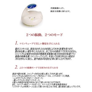 リジュヘアEX画像２