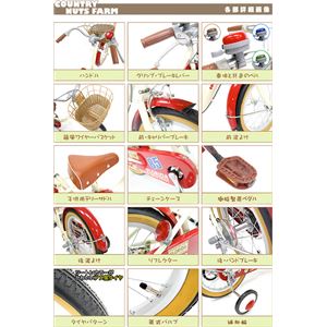 2013Nf BorderOnei{[_[j COUNTRY NUTS FARM 16C` Brown 4`6 cp]ԉ摜R