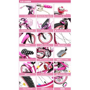 2013Nf BorderOnei{[_[j Marguerite 16C` Black^Pink 4`6 cp]ԉ摜S