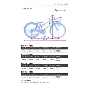 2013Nf BorderOnei{[_[j FLIGHT SIX 20C` 6iϑ Blue qp]ԉ摜S
