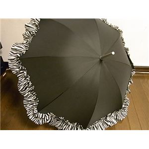 2013Nf ACCENTS TokyoiANZcg[L[j Ăp\ t[ |GXe100% [u UVJbg97%ȏ ^b` PiJEPpj摜Q