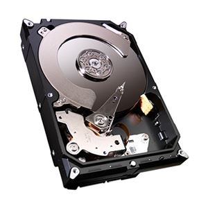 Seagate 3.5インチ内蔵HDD 1TB SATA 6.0Gb／s 7200rpm 64MB ST1000DM003