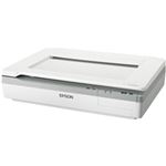 エプソン(EPSON) A3フラットベッドスキャナー／600dpi／A4片面4秒／1枚（300dpi） DS-50000