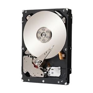 Seagate 3.5インチ内蔵HDD 2TB SAS 6.0Gb／s 7200rpm 128MB ST2000NM0023