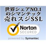 シマンテック・ウェブサイトセキュリティ グローバル・サーバID 2年間有効 IDCP-2000001-GS