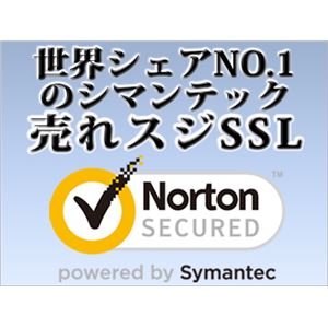 シマンテック・ウェブサイトセキュリティ セキュア・サーバID 2年間有効 IDCP-2000001-SS