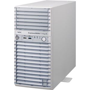 NEC Express5800／T110g-E（4C／E3-1220v3／4G／2HD） NP8100-2186YPKY