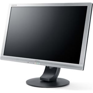 ELSA モニター一体型ゼロクライアント VIXEL LDZ190 Tera2 19.5インチ EV190-LR